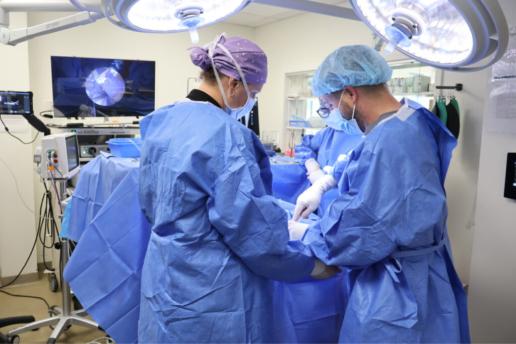 Is It Time for a Veterinarian Orthopedic Specialist Visit?