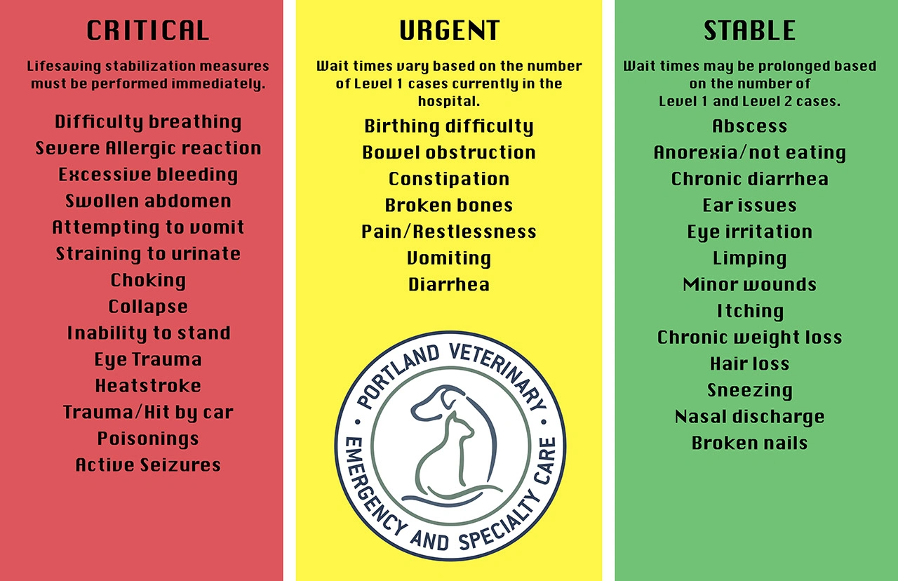 Portland Veterinary Emergency and Specialty Care