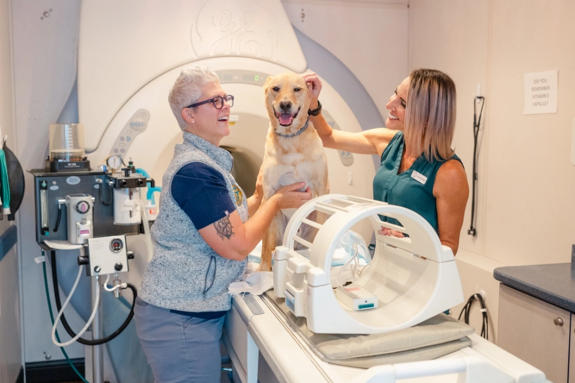 Portland Veterinary Emergency and Specialty Care