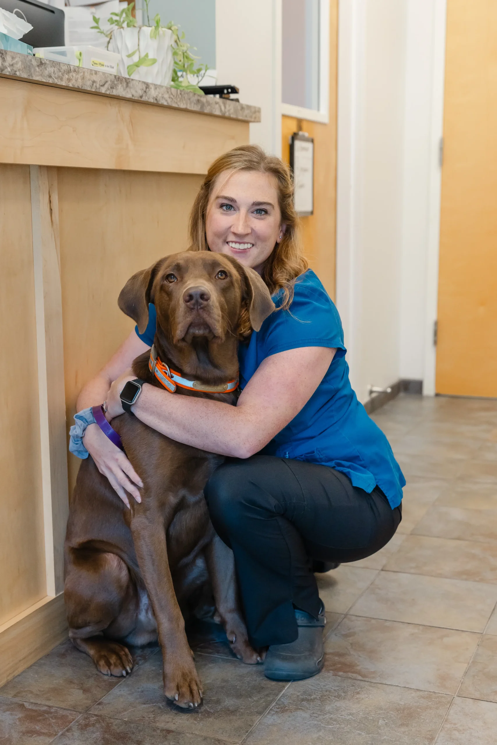 Portland Veterinary Emergency and Specialty Care