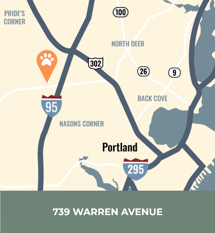 Portland Veterinary Emergency and Specialty Care