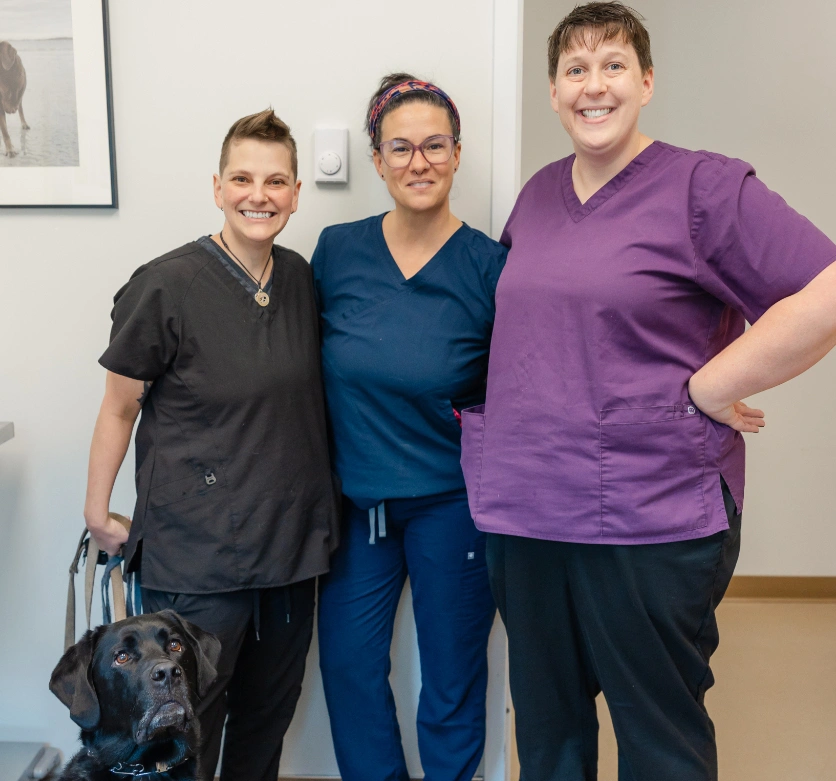 Portland Veterinary Emergency and Specialty Care