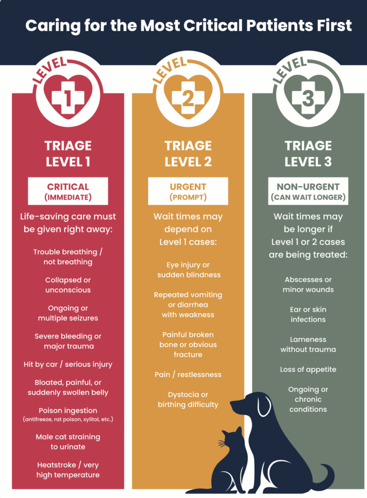 Portland Veterinary Emergency and Specialty Care