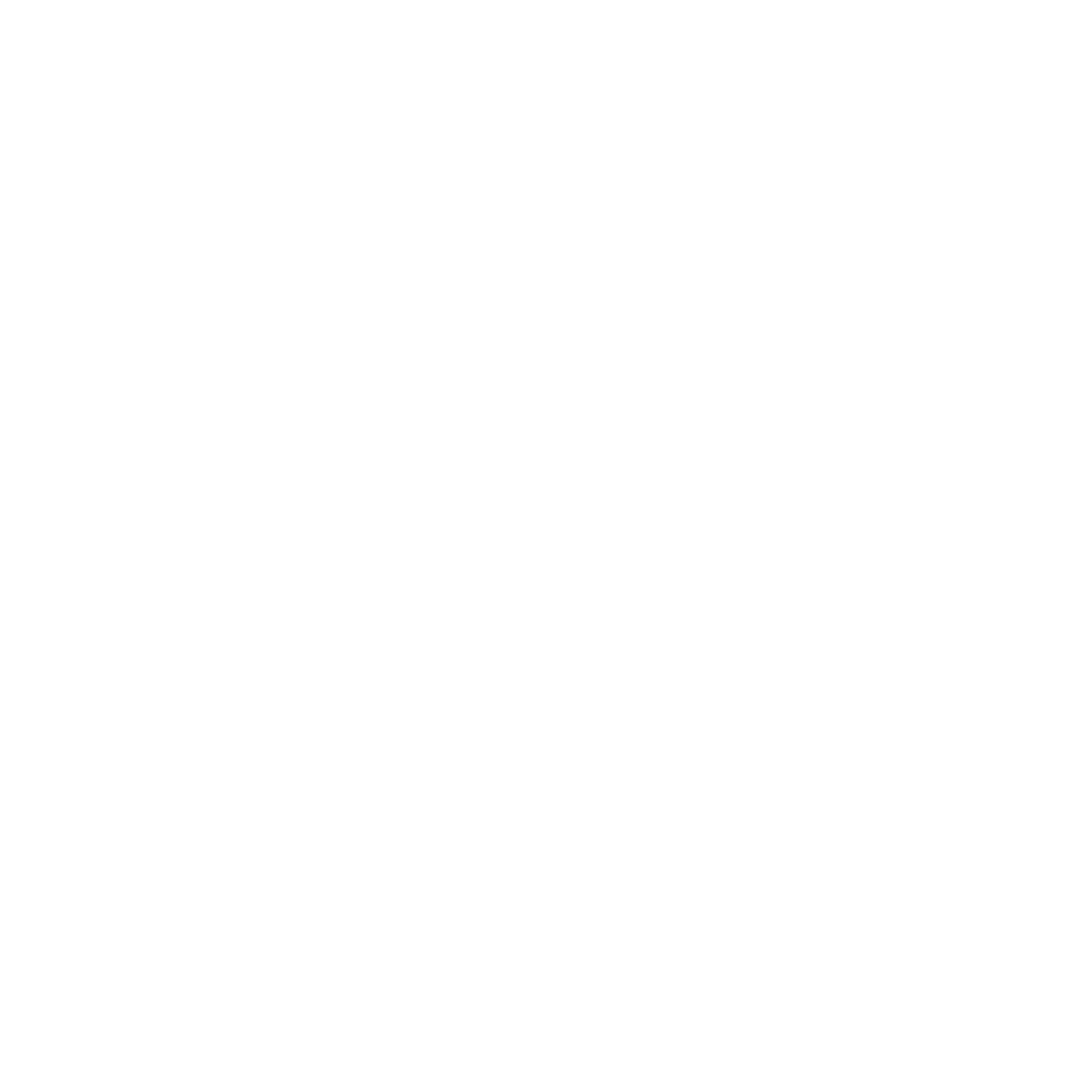 Phone Icon